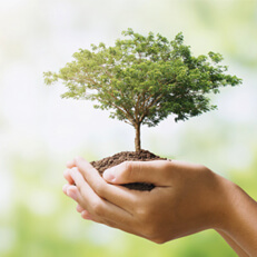 Safe Eco Friendly
